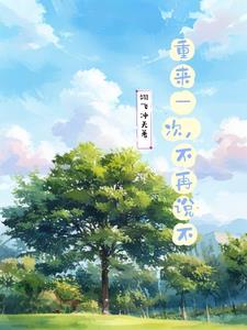 重来一次好吗
