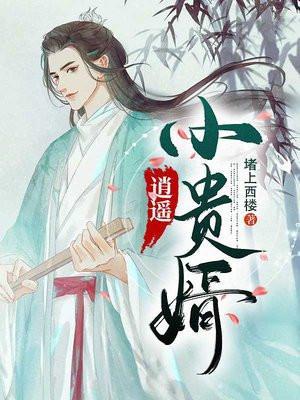 逍遥小贵婿免费完整版