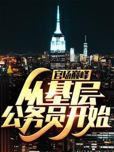 官场巅峰从基层公务员开始免费作者佚名