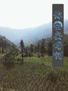 你安好就行什么意思