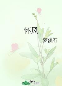 怀风子谎岛求生