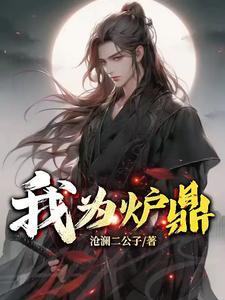 我为炉鼎不灭境