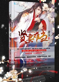 贤妻难当剧情介绍